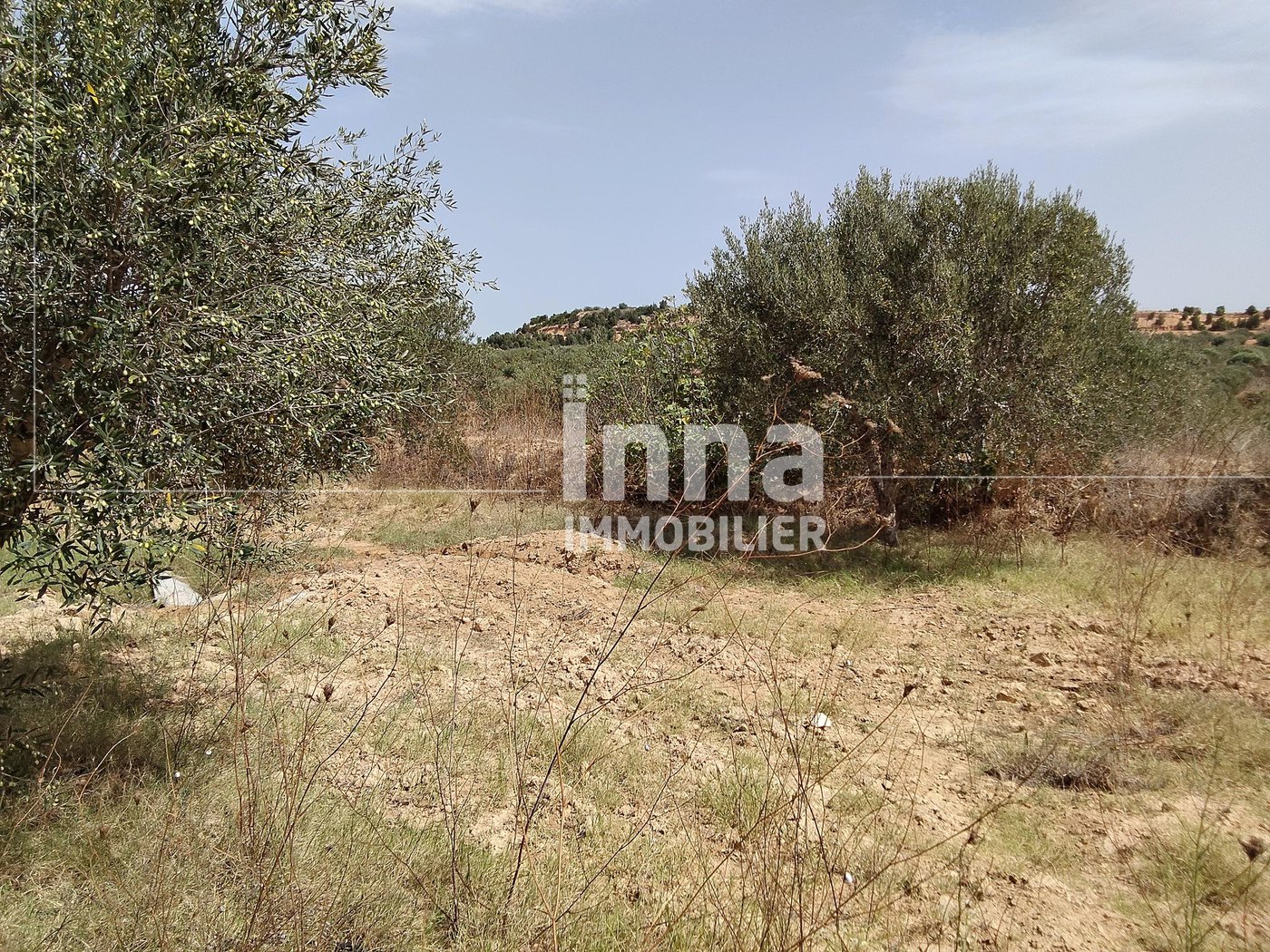home-1